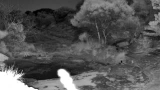 Still 2 from this detection
