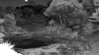 Still 1 from this detection