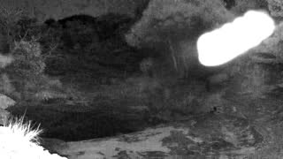 Still 2 from this detection