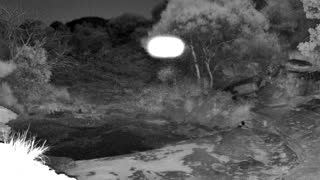 Still 2 from this detection