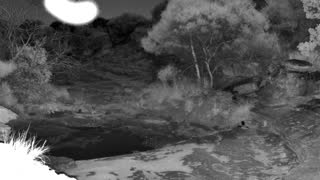 Still 1 from this detection