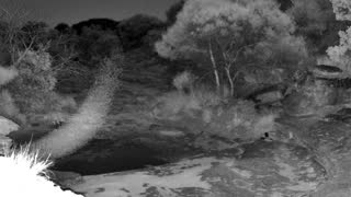 Still 1 from this detection