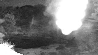 Still 2 from this detection