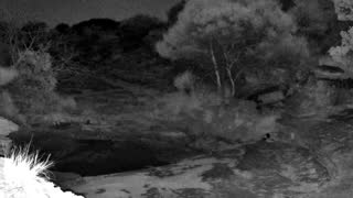 Still 3 from this detection