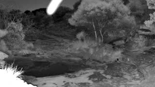 Still 1 from this detection