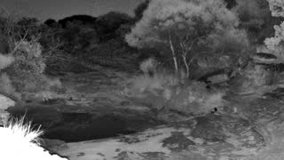 Still 2 from this detection