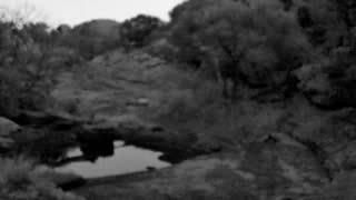 Still 1 from this detection