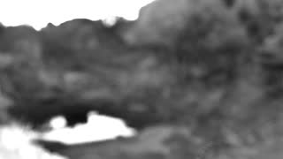 Still 3 from this detection