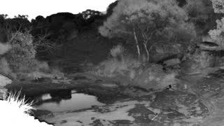 Still 1 from this detection