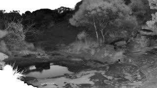 Still 2 from this detection