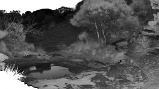 Still 1 from this detection