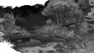 Still 2 from this detection