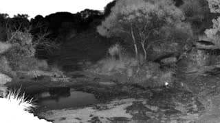 Still 3 from this detection