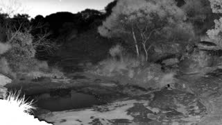 Still 2 from this detection