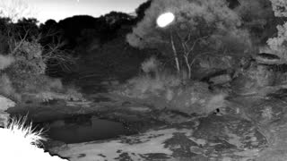 Still 3 from this detection