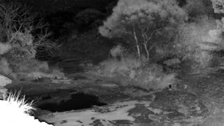Still 2 from this detection