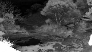 Still 2 from this detection