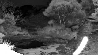Still 2 from this detection