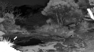 Still 2 from this detection