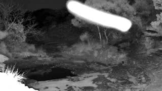 Still 2 from this detection