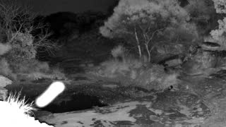 Still 2 from this detection