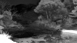 Still 3 from this detection