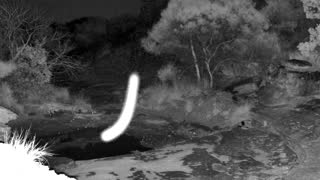 Still 2 from this detection