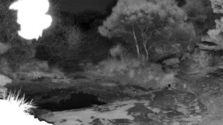 Still 3 from this detection