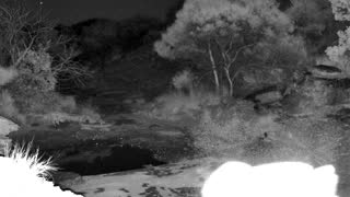 Still 2 from this detection