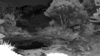 Still 3 from this detection