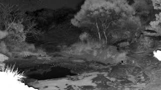 Still 2 from this detection