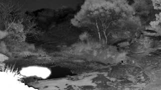 Still 2 from this detection