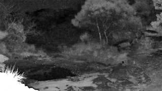 Still 3 from this detection
