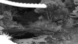 Still 3 from this detection