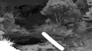 Still 2 from this detection