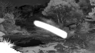 Still 3 from this detection