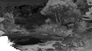 Still 2 from this detection