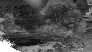 Still 3 from this detection