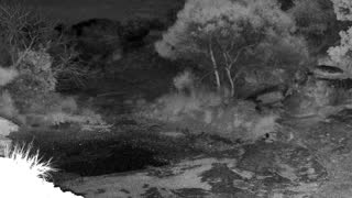 Still 3 from this detection
