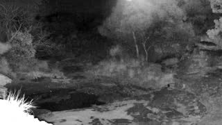 Still 3 from this detection