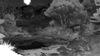 Still 1 from this detection