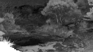 Still 3 from this detection