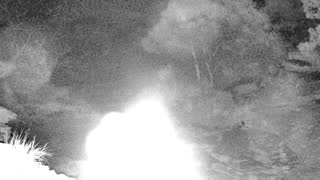Still 2 from this detection