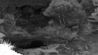 Still 3 from this detection