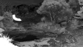 Still 2 from this detection
