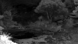 Still 3 from this detection