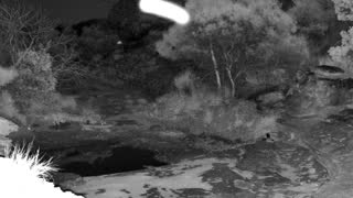Still 3 from this detection