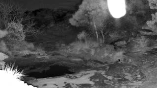 Still 3 from this detection