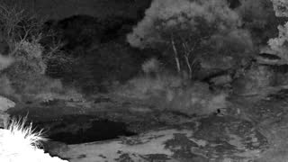 Still 3 from this detection