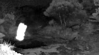 Still 3 from this detection